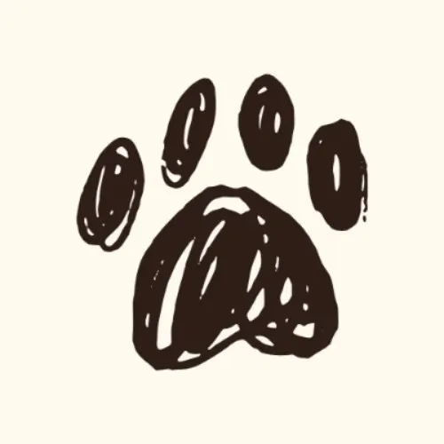 Pawjojo
