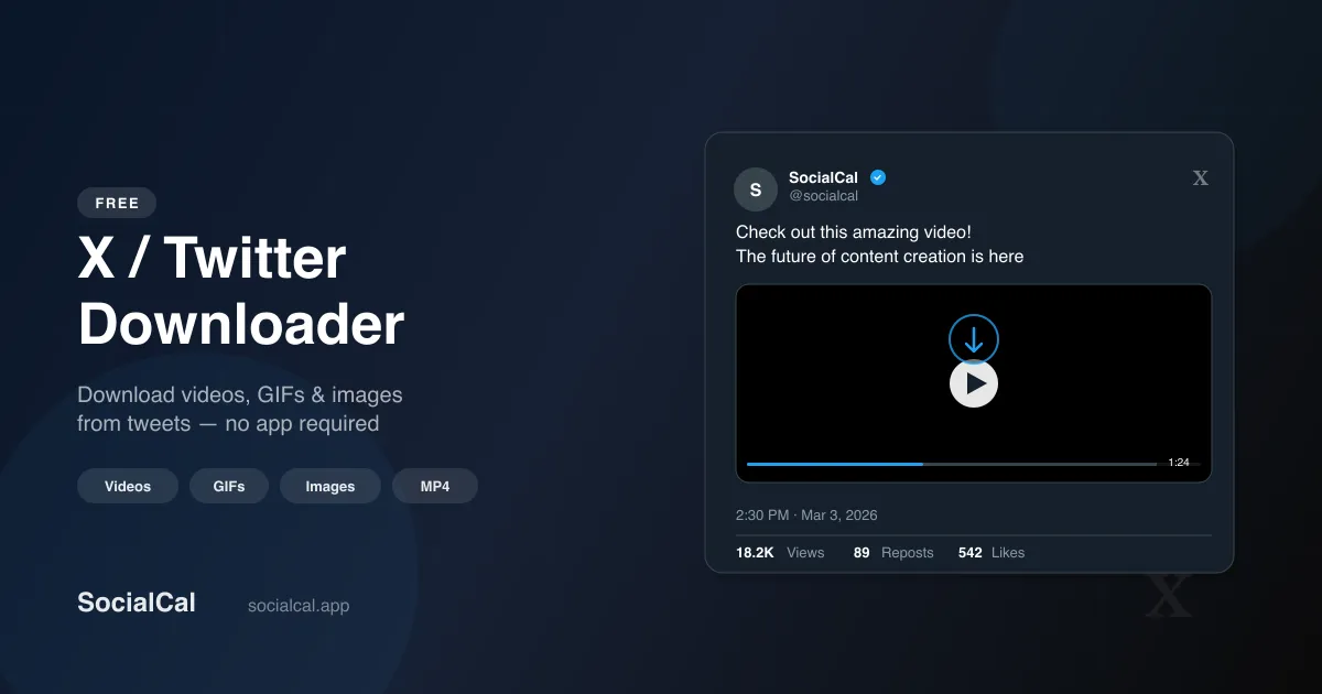 X/Twitter Video Downloader screenshot